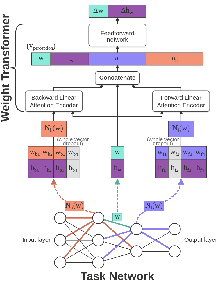 The Weight Transformer: a task-network weight and its forward and backward neighborhoods are encoded by linear attention and mapped to weight and hidden-state updates.